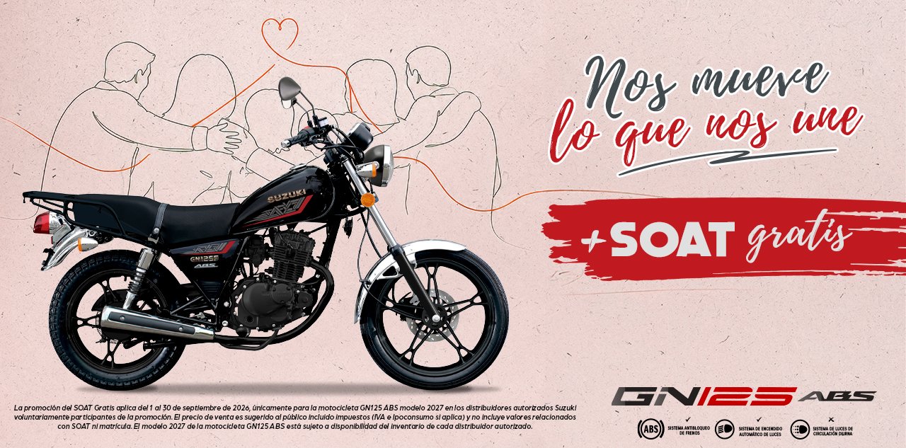 Suzuki V-Strom 160